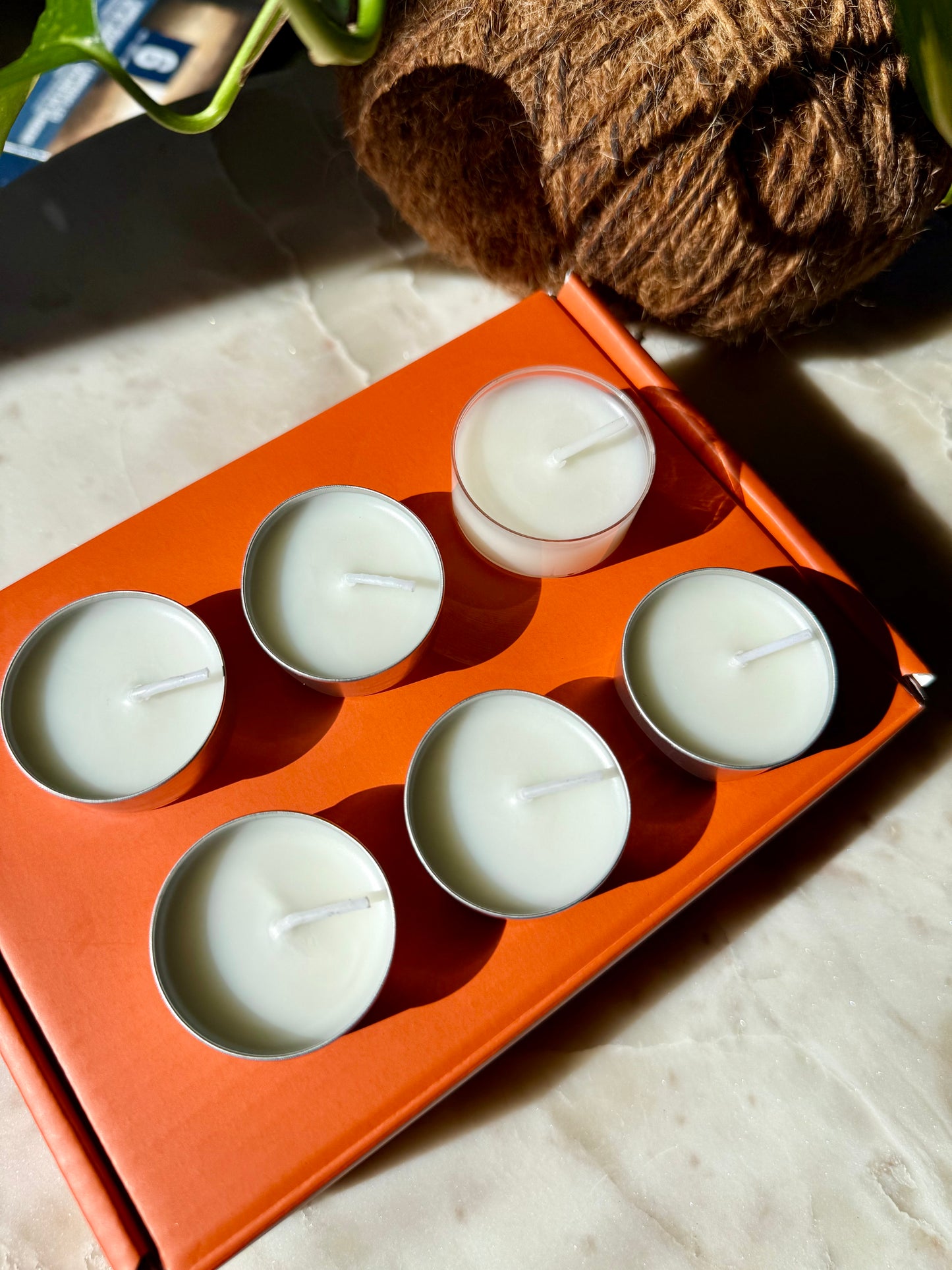 Signature Collection - Tealight Discovery Set