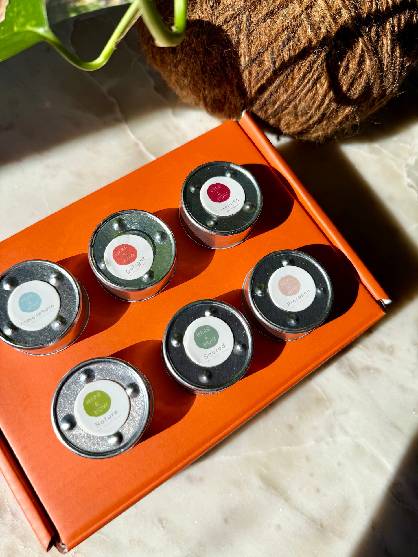 Signature Collection - Tealight Discovery Set